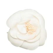 Pre-owned Canvas brooches Chanel Vintage , White , Dames