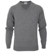 Grijze Sweater Collectie Lacoste , Gray , Heren