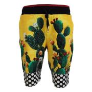 Multicolor Cactus Print Sweat Shorts Dolce & Gabbana , Multicolor , He...