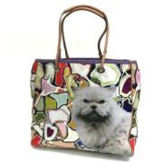 Pre-owned Canvas totes Anya Hindmarch Pre-owned , Multicolor , Dames