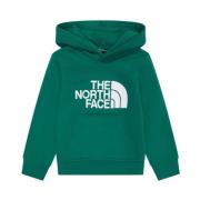 Groene Sweater Collectie The North Face , Green , Heren