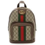 Pre-owned Plastic gucci-bags Gucci Vintage , Multicolor , Dames