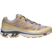 Xt-6 Skyline Trail Hardloopschoenen Salomon , Multicolor , Heren