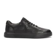 Zwarte sneakers van graanleer Kazar , Black , Heren