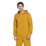 Logo Borst Brgoch Reebok , Yellow , Heren