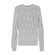 Grijze Cashmere Gebreide Trui Wild Cashmere , Gray , Dames