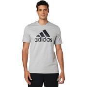 Essential Big Logo Grijze Sport T-shirt Adidas , Gray , Heren