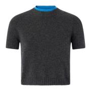 Grijze Sweater Savannah Wolmix Pinko , Gray , Dames