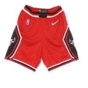 Chicago Bulls Basketbalshorts Nike , Multicolor , Heren