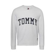 Stijlvolle Gebreide Kleding voor Mannen Tommy Jeans , Gray , Heren