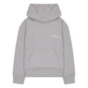 Hoodie Laneus , Gray , Heren