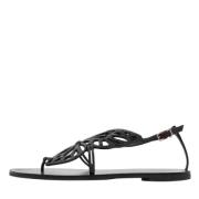 Pre-owned Leather sandals Sophia Webster Pre-owned , Black , Dames