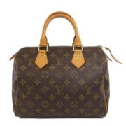 Pre-owned Canvas handbags Louis Vuitton Vintage , Brown , Dames