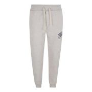 Truien Grijs Ralph Lauren , Gray , Heren