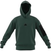 Heren hoodie Adidas , Green , Heren