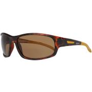 Blauwe Hars Zonnebril UV Filter 3 Timberland , Brown , Heren