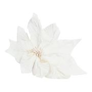 Pavot Bloem Nina Ricci , White , Dames