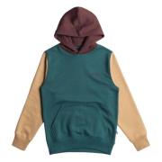 Arch Block Po Hoodie Billabong , Multicolor , Heren