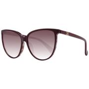 Bourgondische Vlinder Zonnebril Max Mara , Brown , Dames