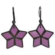 Pre-owned Silver earrings Bottega Veneta Vintage , Purple , Dames