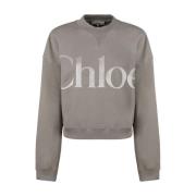 Stijlvolle Sweaters Collectie Chloé , Gray , Dames