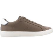 Stijlvolle Sneakers voor Mannen en Vrouwen Geox , Gray , Heren