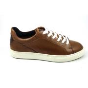 Majuro Bruine Schoenen Lloyd , Brown , Heren