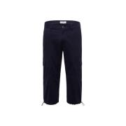 Stijlvolle Broeken & Shorts Brax , Blue , Heren