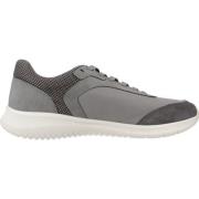 Stijlvolle Sneakers voor Stadsleven Geox , Gray , Heren