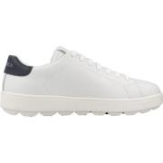 Sneakers Spherica Model Geox , White , Dames