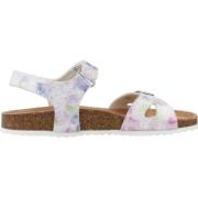 Adriel Girl Platte Sandalen Geox , Multicolor , Dames