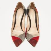 Pre-owned Suede heels Gianvito Rossi Pre-owned , Multicolor , Dames