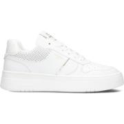 Witte Leren Lage Sneakers Twinset , White , Dames