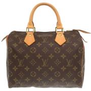 Pre-owned Canvas handbags Louis Vuitton Vintage , Brown , Dames