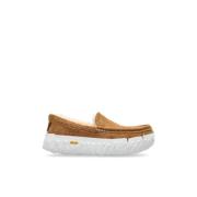 Schoenen M Ascot Vibram Wrap Tech UGG , Beige , Heren