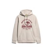 Stijlvolle Sweatshirts en Hoodies Superdry , Beige , Heren