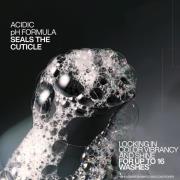 Redken Acidic Color Gloss Shampoo Mini 75ml, Conditioner Mini 50ml and...