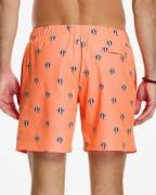 Shiwi Heren ZwemHeren Short