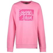 Cars sweater met printopdruk roze Meisjes Katoen Ronde hals Printopdru...
