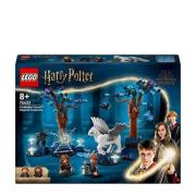 LEGO Harry Potter Verboden Bos: magische wezens 76432 Bouwset