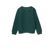 REPLAY sweater groen Jongens Katoen Ronde hals Effen - 164