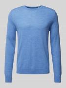 Regular fit gebreide pullover van zuivere scheerwol