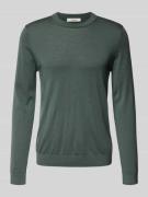 Regular fit pullover van zuivere merinowol, model 'TRAY'