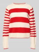 Regular fit gebreide pullover van zuivere scheerwol