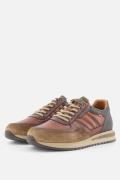 Ambitious Temple Sneakers cognac Leer