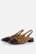 Linea Zeta Leopard Slingbacks zwart Leer