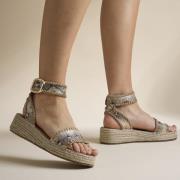 Cellini Espadrilles bruin Textiel