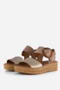 Gabor Sandalen beige Suede