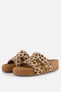Lazamani Slippers Leopard bruin Synthetisch