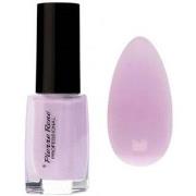 Pierre Rene Nail Polish 374 Creamy Rose